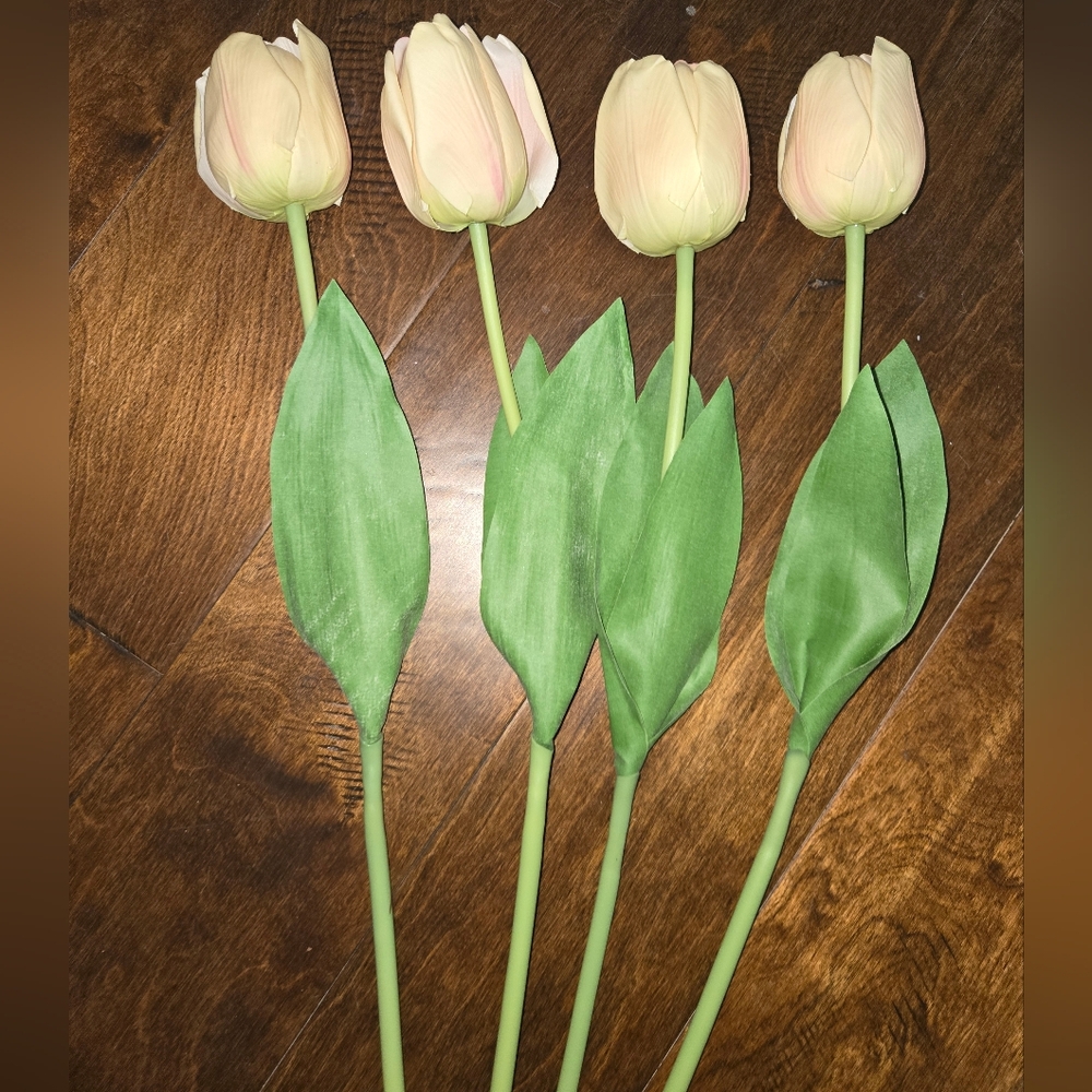 🌟Set Of 4 Elegant Cream Tulip Stems